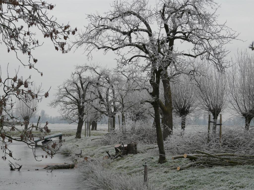 De Boomgaard Groene Hart Polsbroekerdam Exterior foto